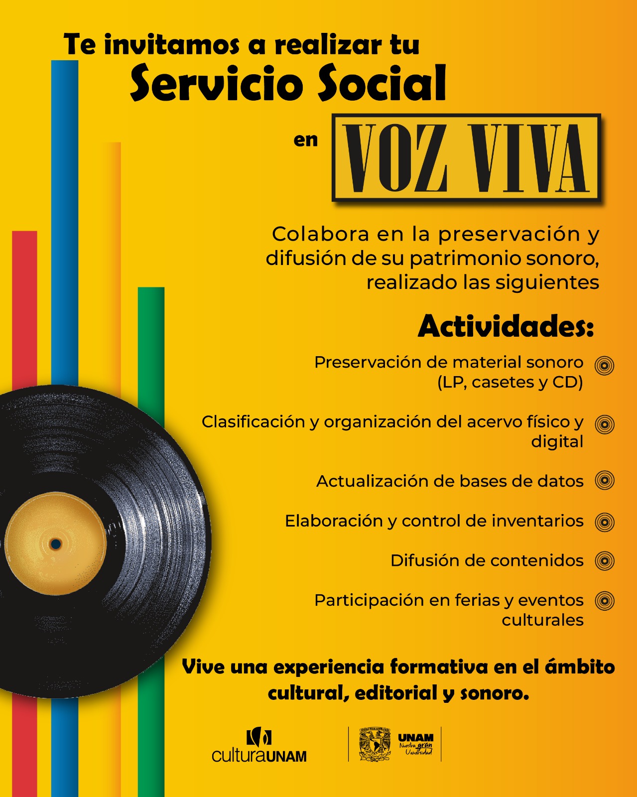 Servicio Social